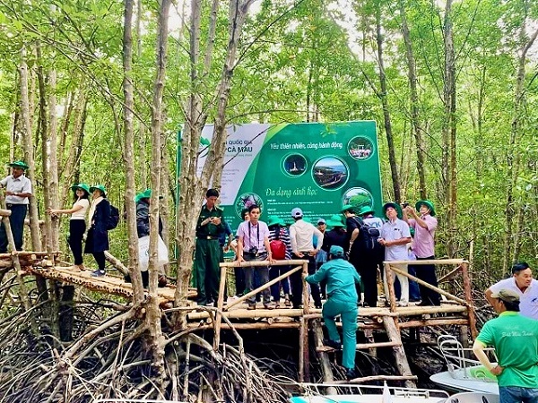 trai nghiem bat cua, cau ca, tham quan vuong tom, xuyen rung ngap man, ngam binh minh hoang hon